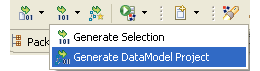 Generate Data Model Project command
